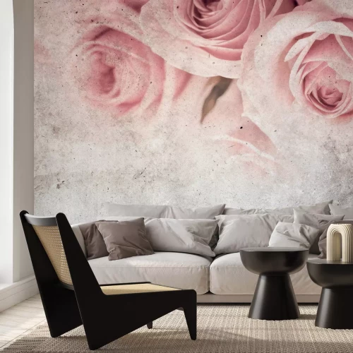 Papier peint  Roses sur fond de béton vintage