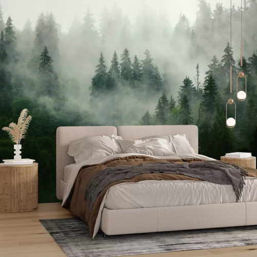 Papier peint  Forêt de conifères vert foncé dans un épais brouillard