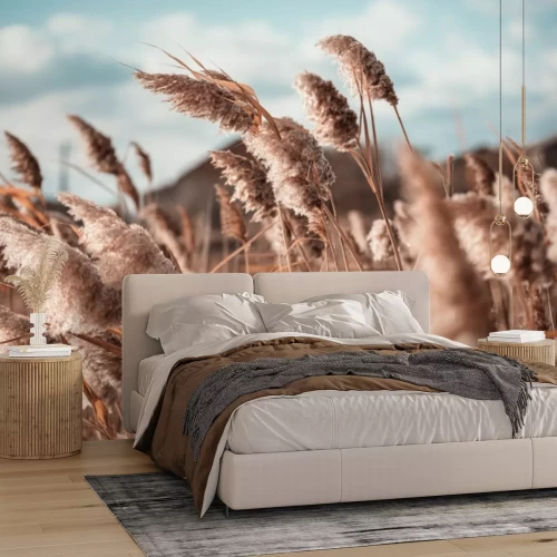 Papier peint  L'herbe de la pampa dans la brise