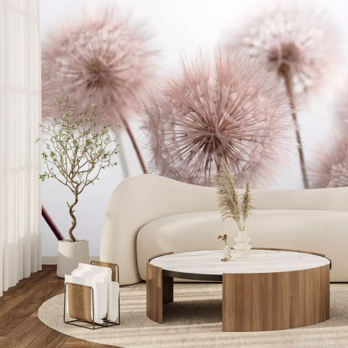 Papier peint  Pissenlits roses en gros plan