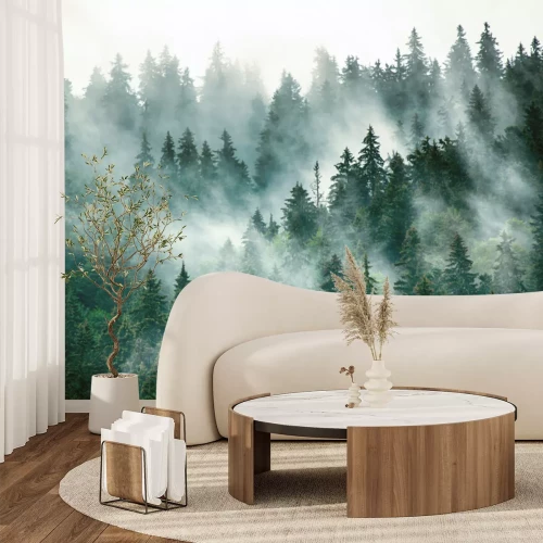 Papier peint  Paysage naturel avec une forêt vert foncé dans le brouillard