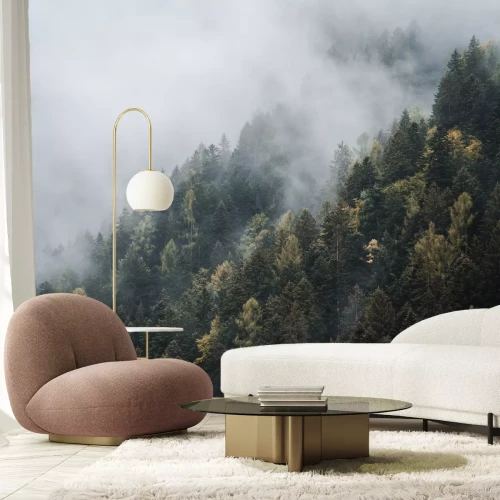 Papier peint  Conifères sur les collines dans le brouillard