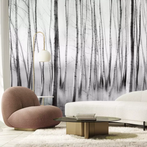 Papier peint  Forêt de bouleaux aux couleurs monochromes