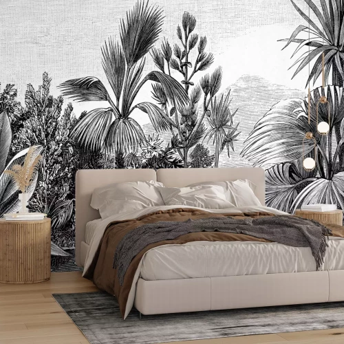 Papier peint  Une rivière dans la jungle noire et blanche