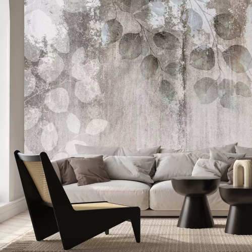 Papier peint  Branches d'eucalyptus avec des feuilles sur un fond en béton