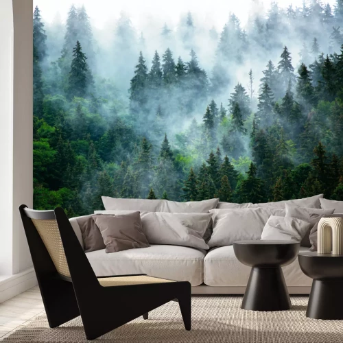 Papier peint  Brouillard matinal sur la forêt dense vert foncé