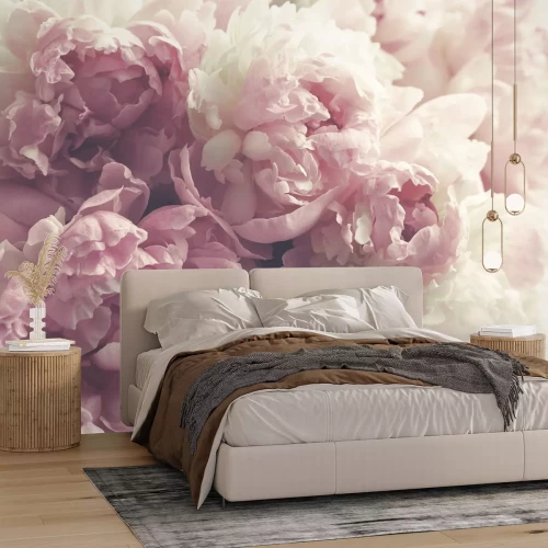 Papier peint  Gros plan de fleurs de pivoine pastel