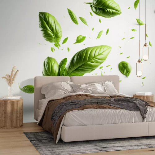 Papier peint  Feuilles de basilic vert sur fond blanc