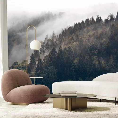 Papier peint  Forêt de conifères vert foncé sur les collines dans le brouillard