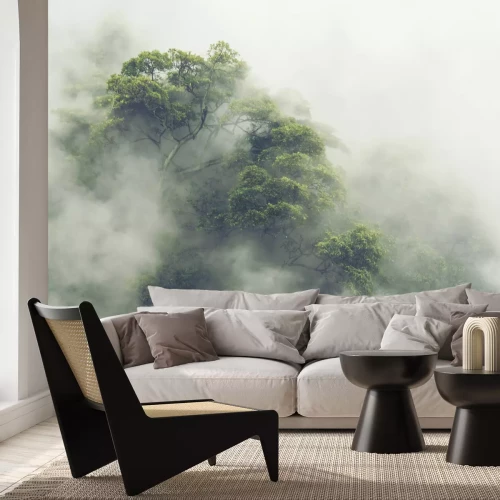 Papier peint  Forêt tropicale verte et brumeuse