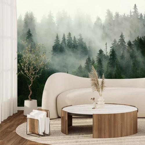 Papier peint  Arbres de conifères verts couverts de brouillard