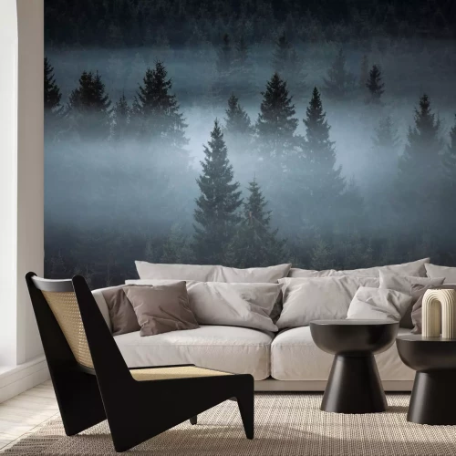Papier peint  Paysage de forêt de conifères brumeux