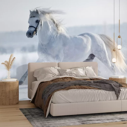 Papier peint  Biały de la galopuje w w polu zimie