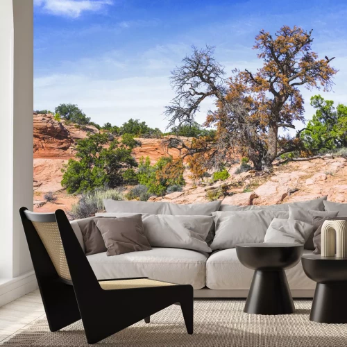 Papier peint  Désert pierreux avec végétation