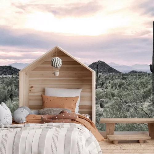 Papier peint  Désert végétalisé avec des cactus et des rochers