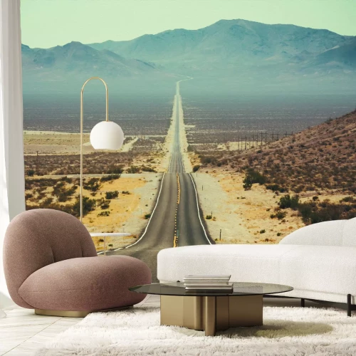 Papier peint  Route asphaltée parmi la végétation désertique