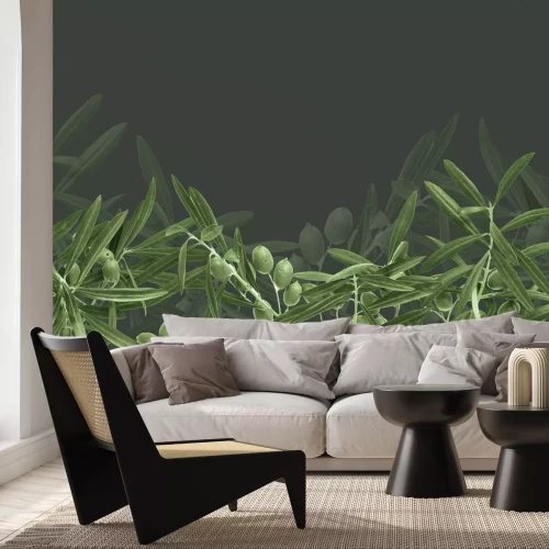 Papier peint  Branches d'olivier vertes sur fond sombre