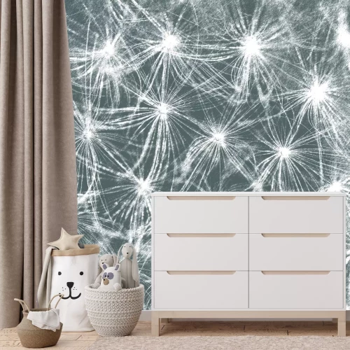 Papier peint  Pissenlits blancs sur fond gris