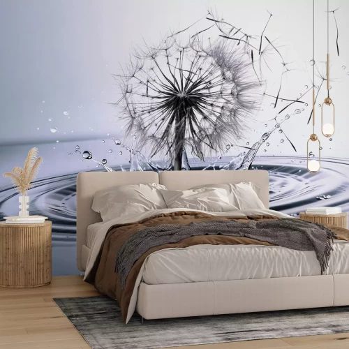 Papier peint  Pissenlit parmi l'eau