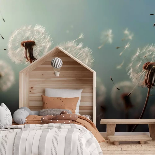 Papier peint  Prairie d'été avec pissenlits