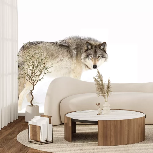 Papier peint  Loup debout sur la neige blanche