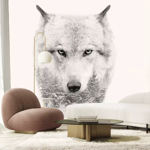 Papier peint  Portrait d’un loup avec imitation de forêt de conifères