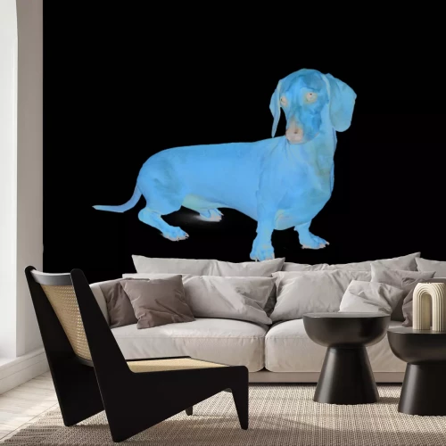 Papier peint  Teckel marron sur fond blanc