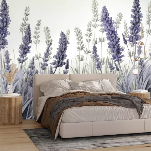 Papier peint  Prairie avec des fleurs de lavande