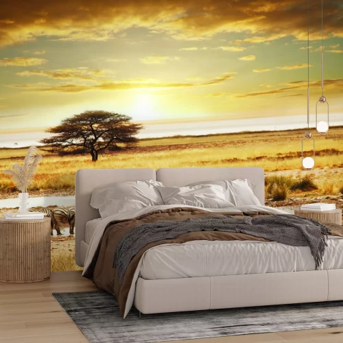 Papier peint  Arbre au milieu d’un safari avec des zèbres