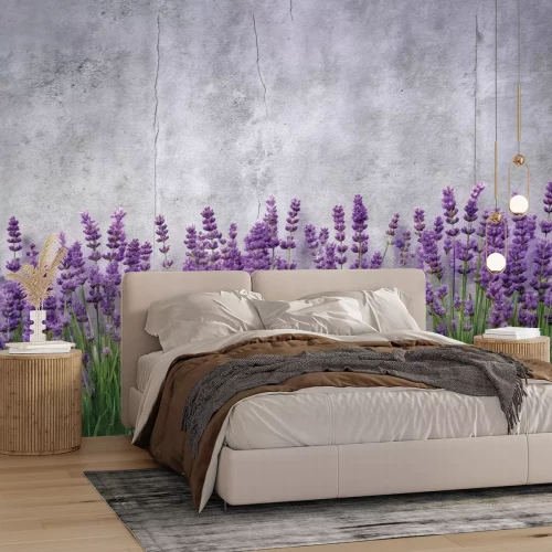 Papier peint  Lavande en fleurs sur fond de béton