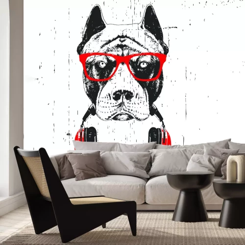 Papier peint  Chien avec des lunettes de soleil et des écouteurs