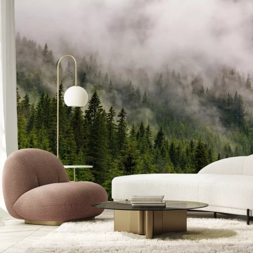 Papier peint  Arbres verts dans la brume sur les collines paysage