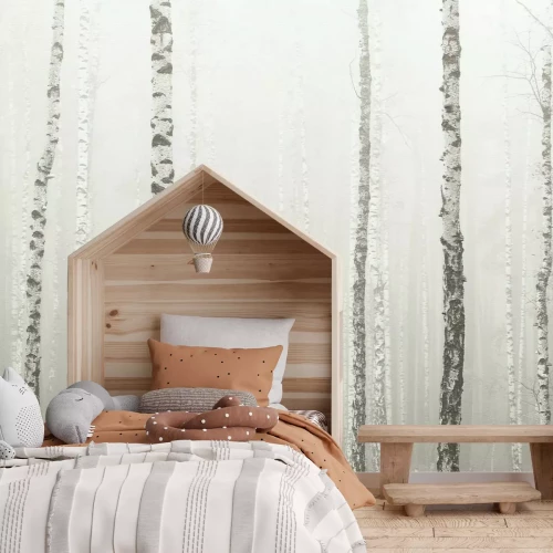 Papier peint  Forêt de bouleaux dans le brouillard