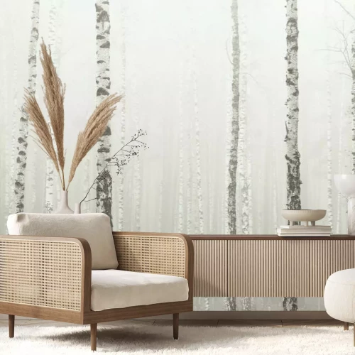 Papier peint  Forêt de bouleaux dans le brouillard