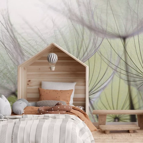 Papier peint  Graines de pissenlit délicates sur fond vert