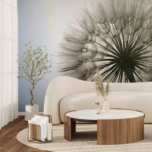 Papier peint  Gros plan de pissenlit photographie réaliste de la nature