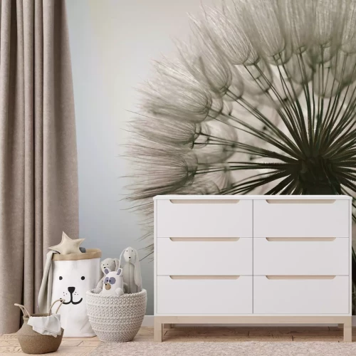 Papier peint  Gros plan de pissenlit photographie réaliste de la nature