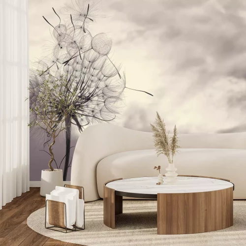 Papier peint  Pissenlit délicat sur fond de ciel gris