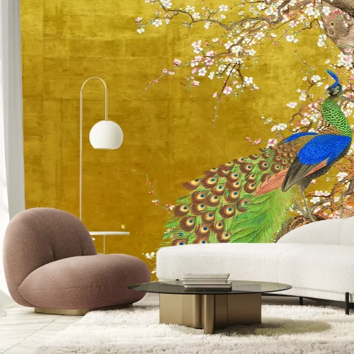 Papier peint  Paon charmant parmi les fleurs de cerisier