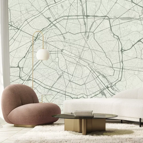 Papier peint  Représentation graphique de la carte de Paris