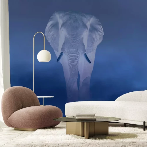 Papier peint  Éléphant marchant dans le désert dans le brouillard