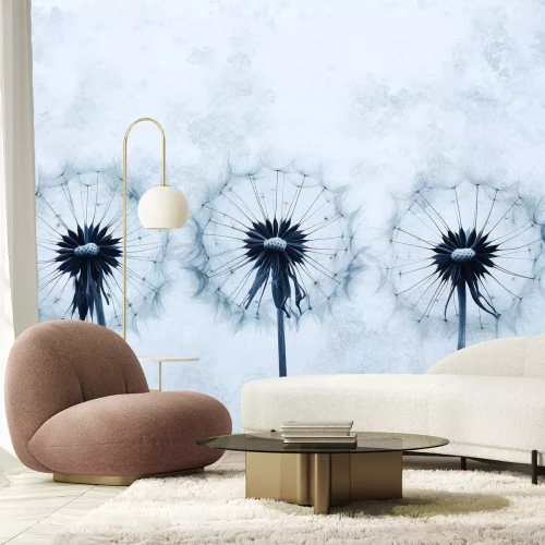 Papier peint  Pissenlits sur fond gris en béton