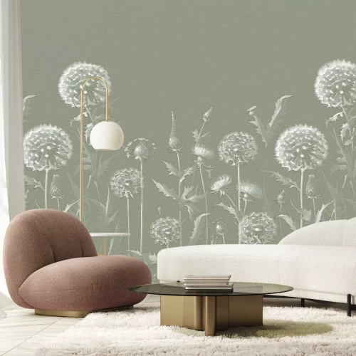 Papier peint  Pissenlits subtils dans la prairie