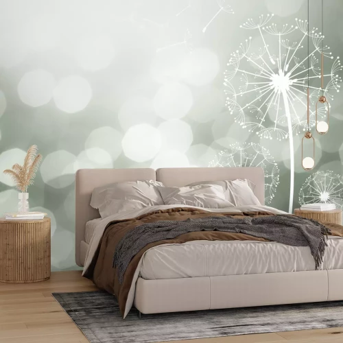 Papier peint  Pissenlits délicats dans la lumière