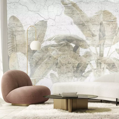 Papier peint  Feuilles de palmier sur un mur en béton