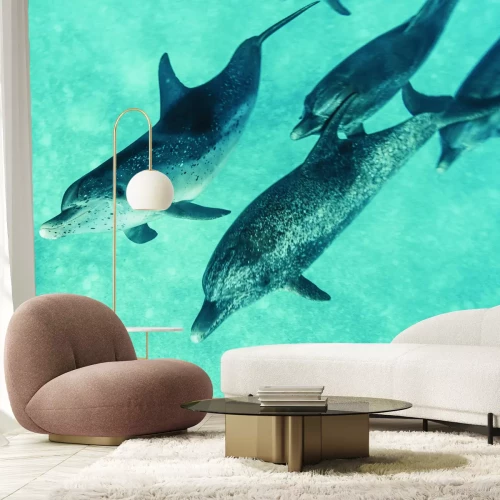 Papier peint  Beaux dauphins nageant dans la mer