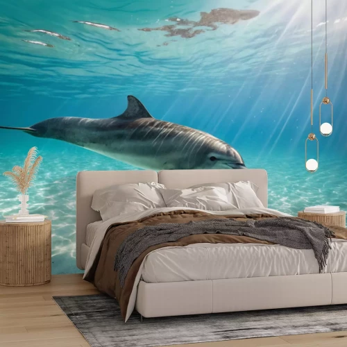 Papier peint  Dauphin nageant au fond de l'océan