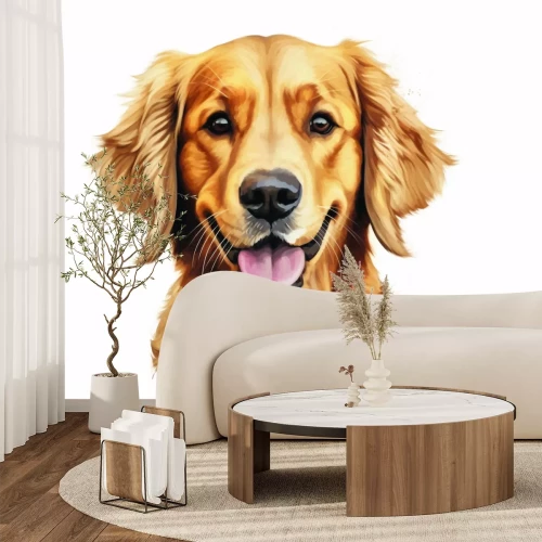 Papier peint  Portrait d’un chien Golden Retriever