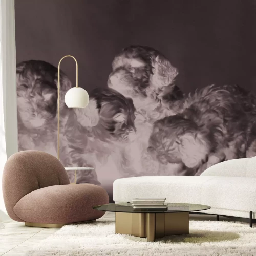 Papier peint  Chiot caniche miniature