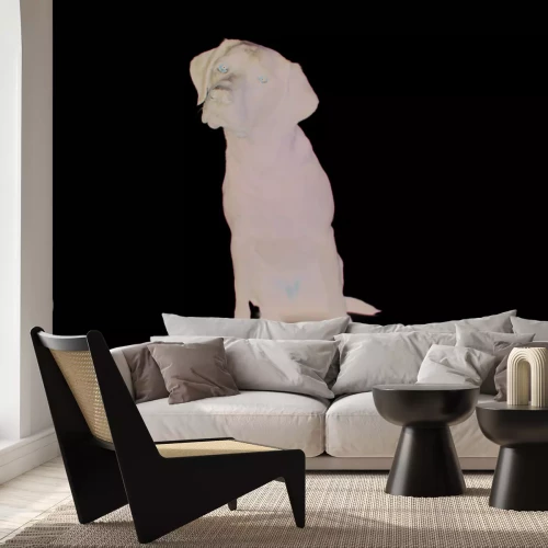 Papier peint  Labrador noir sur fond blanc